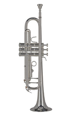 GEWA Ambition TR501S trombe in Sib, argentata