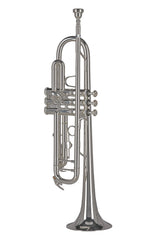 GEWA Ambition TR501S trombe in Sib, argentata