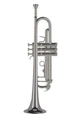 GEWA Ambition TR501S trombe in Sib, argentata