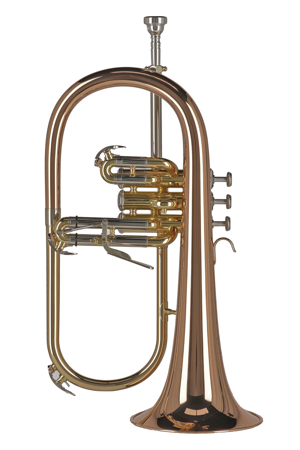 GEWA Ambition FH501 flicorno in Sib, laccato trasparente