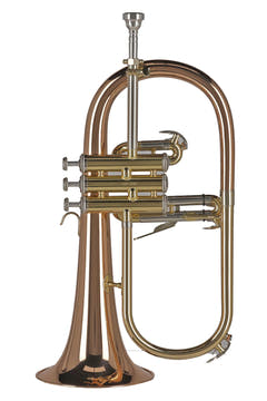 GEWA Ambition FH501 flicorno in Sib, laccato trasparente