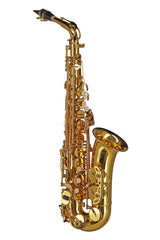 GEWA Ambition AS650 sassofono contralto in Mib, finitura dorata