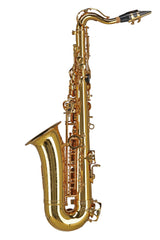 GEWA Ambition AS655 sax contralto in Mib per bambini, laccato oro