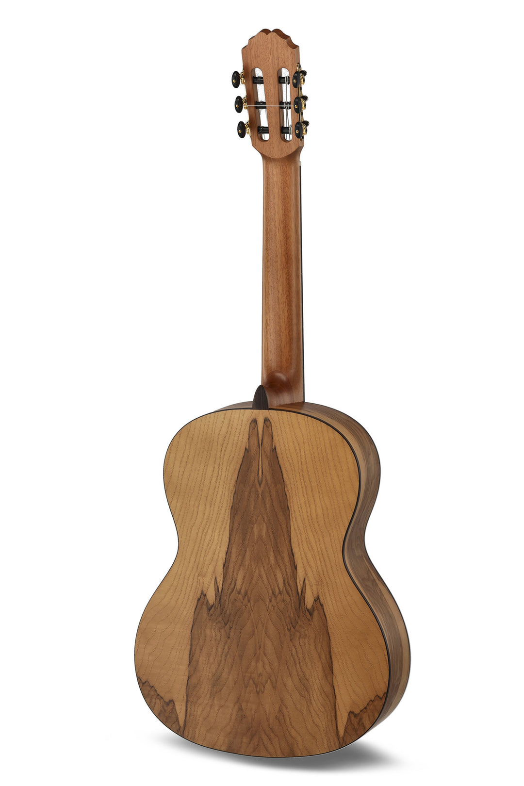 Caballero by MR Principio Series P Olive CA-PMO 120 - Oliva (CA-PMO 120)