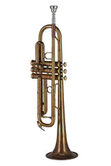 GEWA Vision TR172V trombe in Sib, finitura vintage