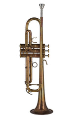 GEWA Vision TR172V trombe in Sib, finitura vintage
