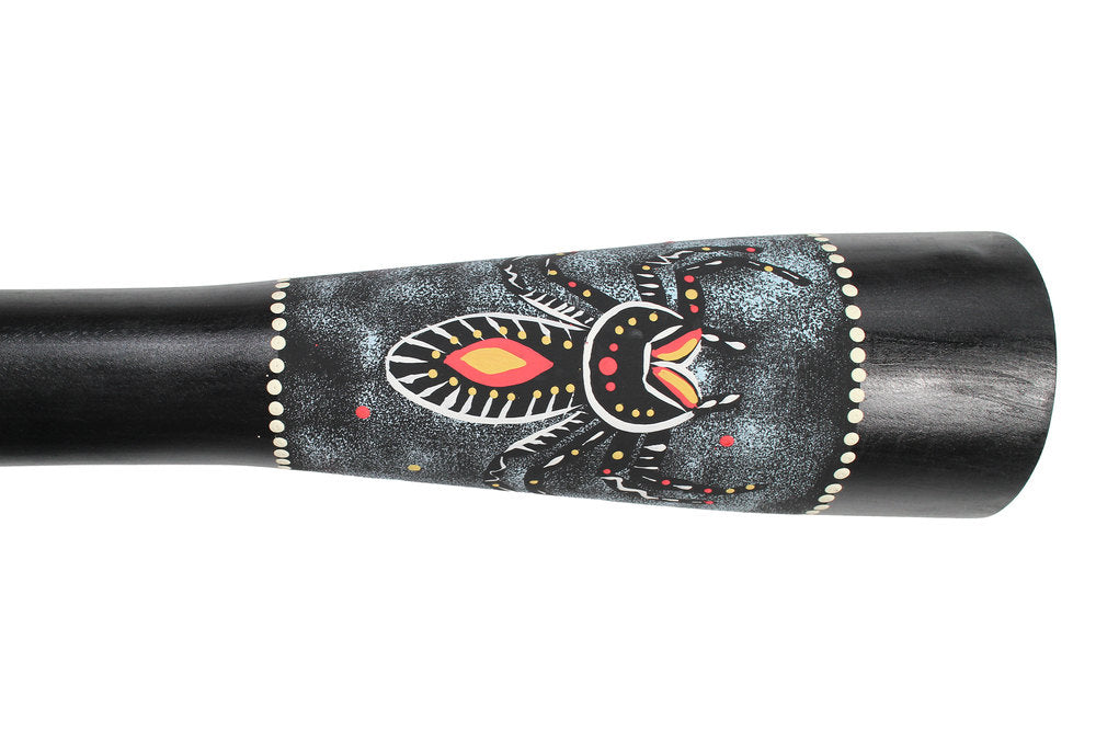 Toca Curved didgeridoo DIDG-CS, curvo, motivo Spider, 50"