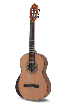 Manuel Rodriguez Tradición T-59 chitarra classica 3/4