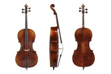 GEWA Sonata Europa Deluxe violoncello 4/4, non configurato