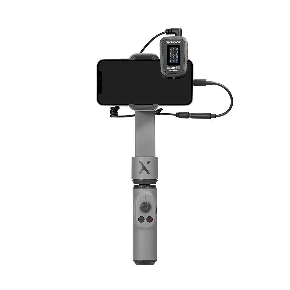 Blink 500 Pro RX Ricevitore (TRS)