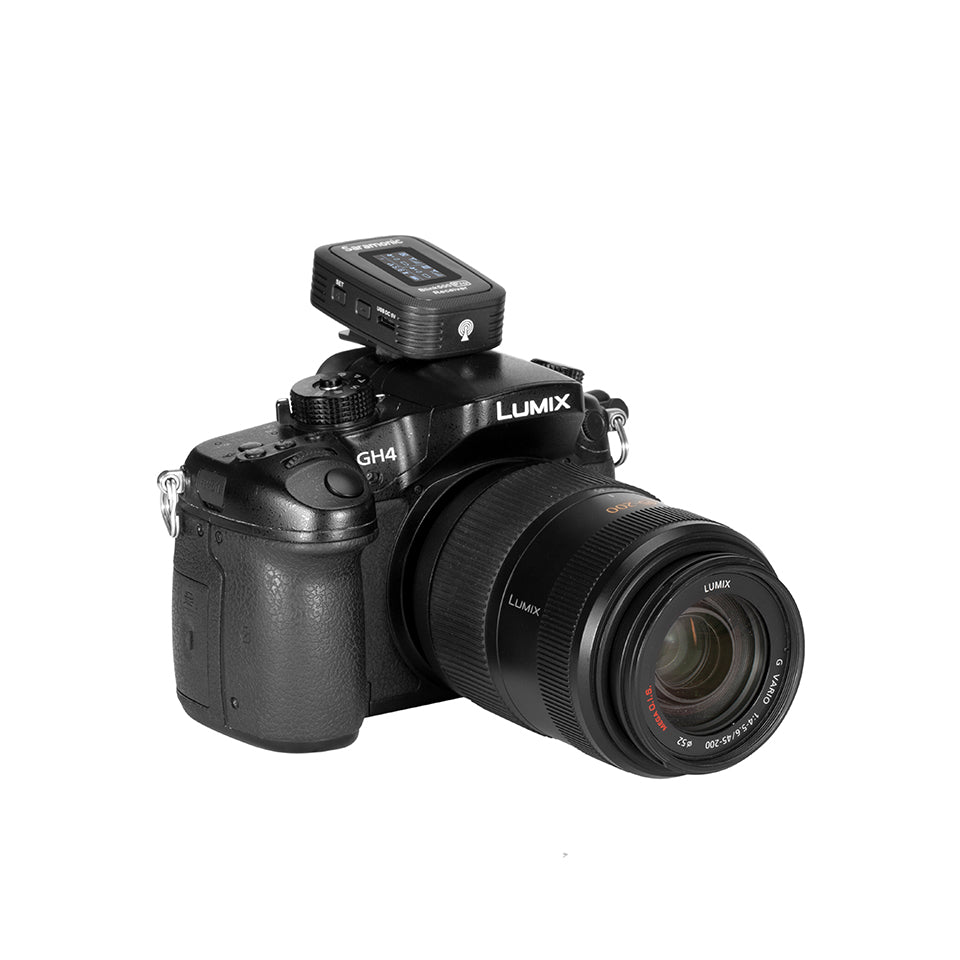 Blink 500 Pro RX Ricevitore (TRS)