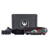Phoenix Gold kit amplificatore DSP BMW 2005-2019 con RAM (ZXMPFCA2)