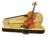 DiMavery Violino 4/4 con Arco e Custodia