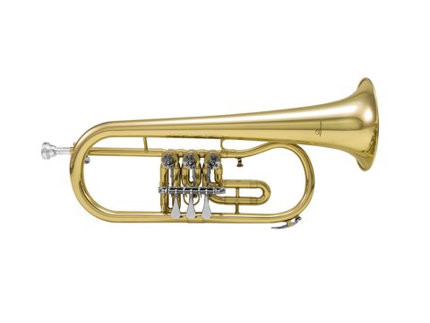 DiMavery FH-310D Bb Flicorno