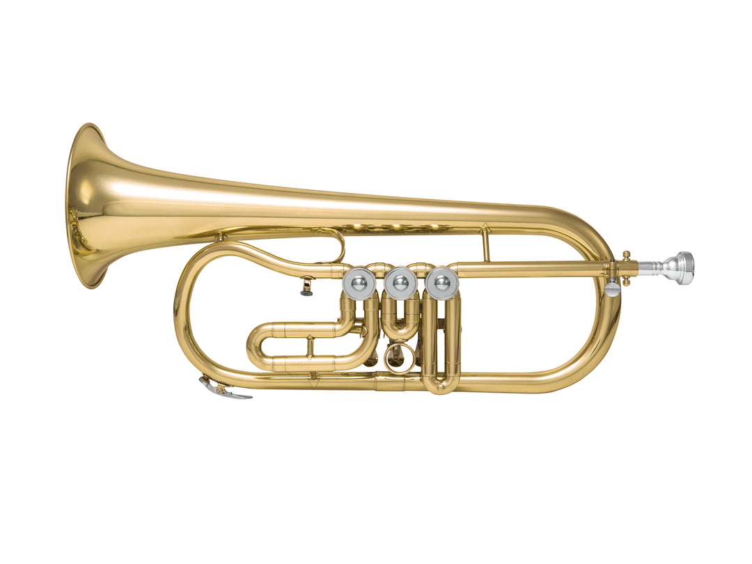 DiMavery FH-310D Bb Flicorno
