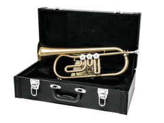 DiMavery FH-310D Bb Flicorno