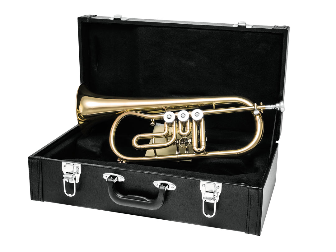DiMavery FH-310D Bb Flicorno