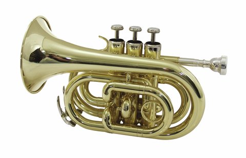 DiMavery TP-300 Bb Tromba Pocket, Oro