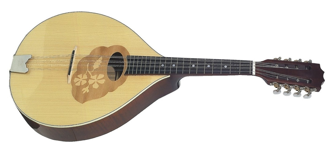 GEWA Mandola Pro Arte - High lucido