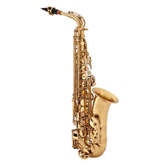 V-TONE AS 100 sax alto con set di custodie