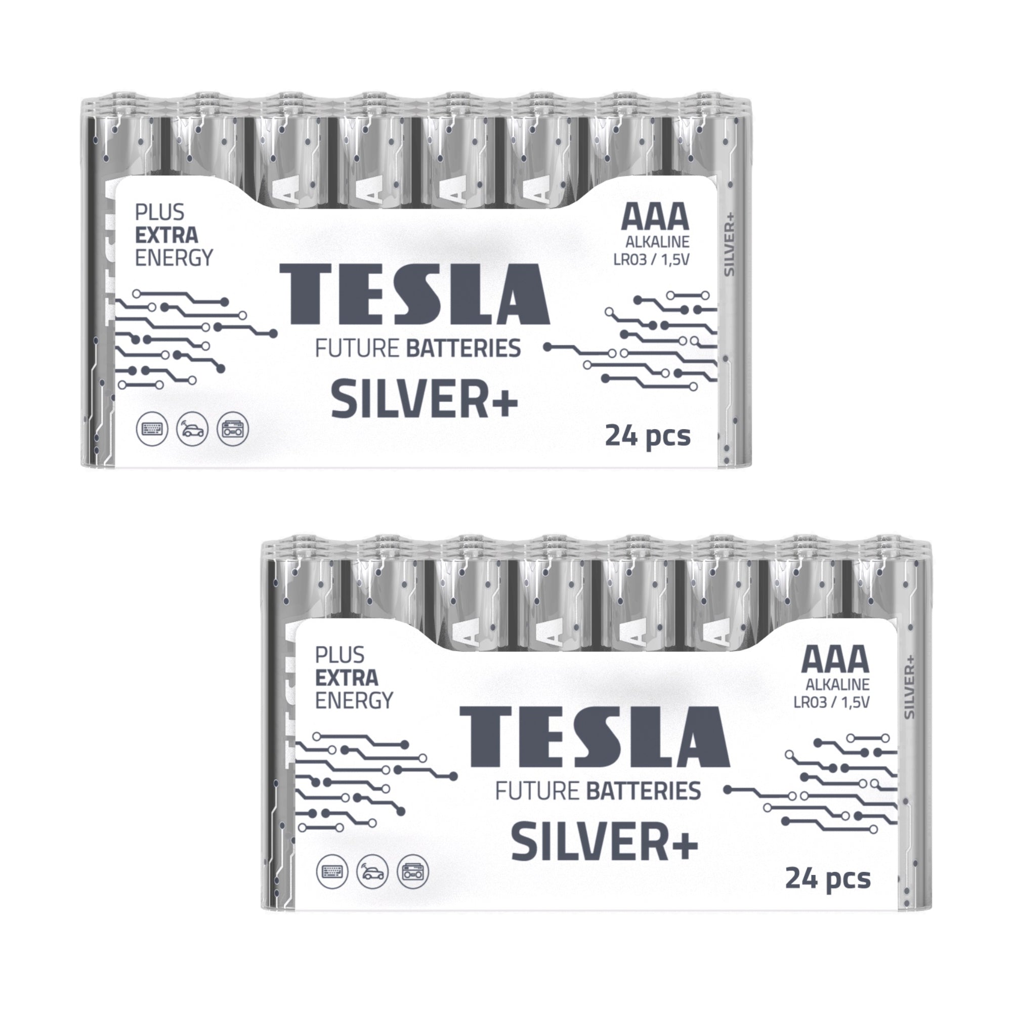 Batterie alcaline Tesla Silver+ AAA (48 pezzi)