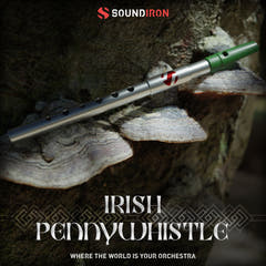 Iron Pack 11 - Flauto irlandese Penny Whistle