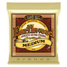 Ernie Ball Earthwood Bronze Corde per Chitarra (Akustisk)