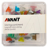 Assortimento di fusibili mini a basso profilo (ACN)