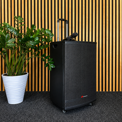 Audioport V15 altoparlante attivo portatile da 500 W con 2 microfoni