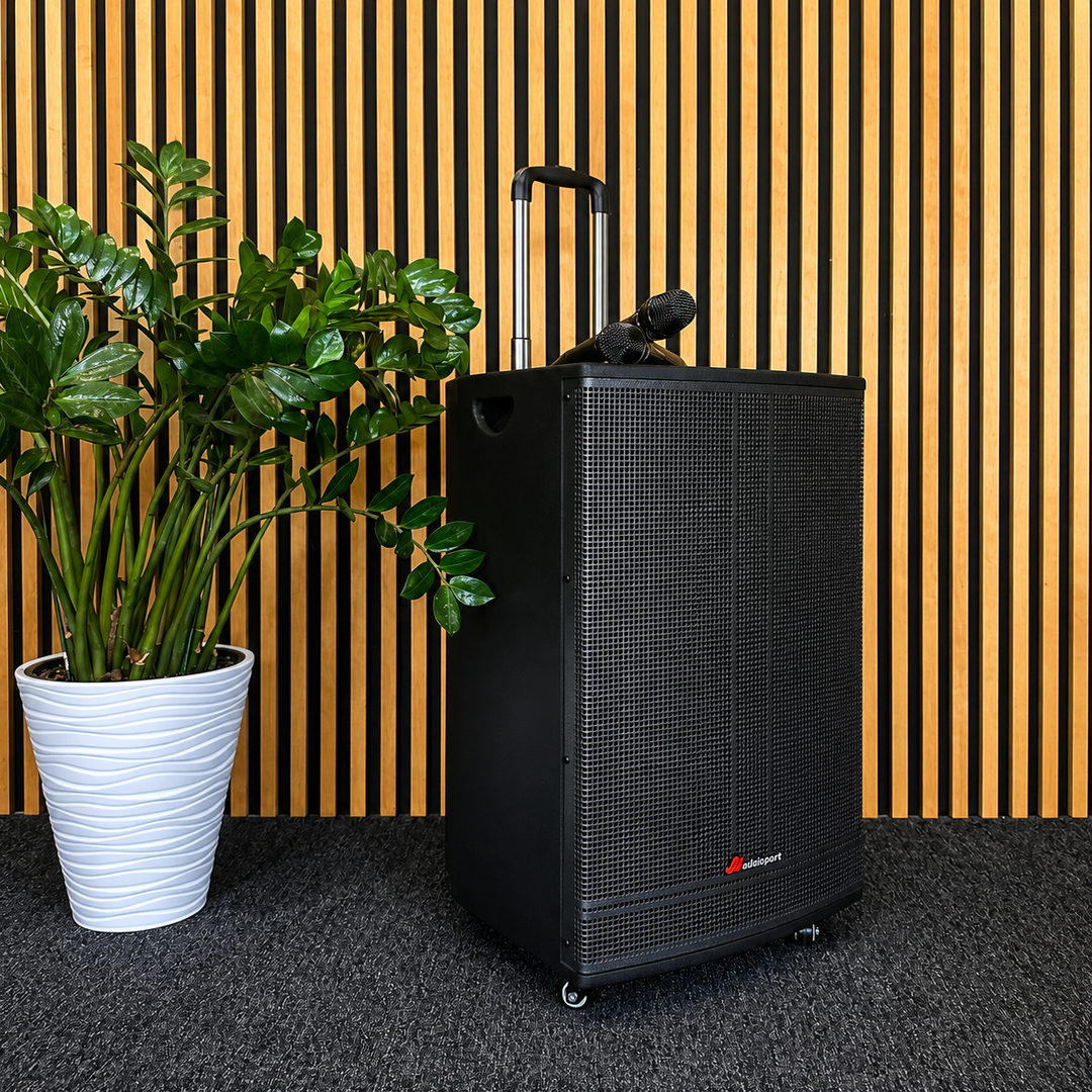 Audioport V15 altoparlante attivo portatile da 500 W con 2 microfoni