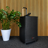 Audioport V15 altoparlante attivo portatile da 500 W con 2 microfoni