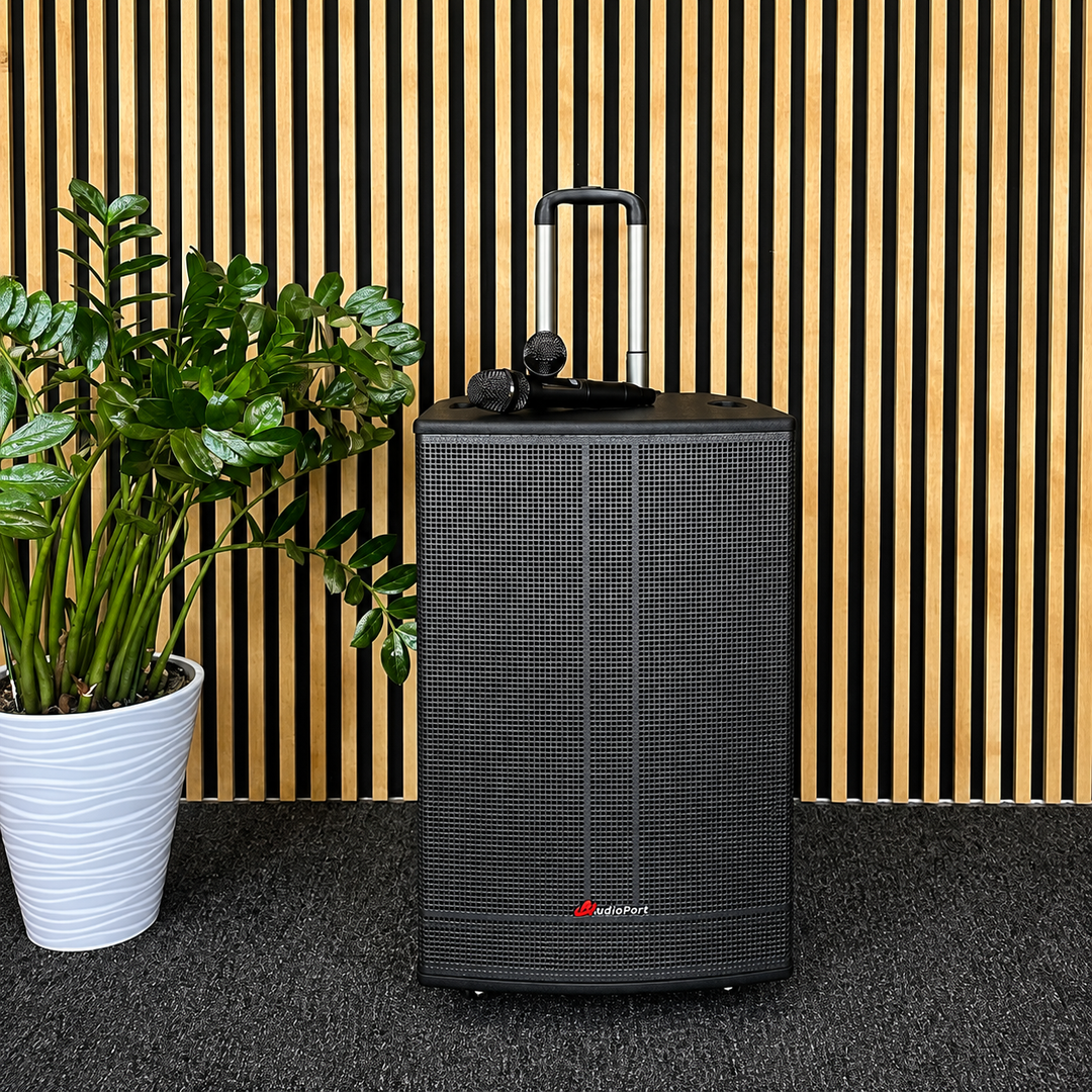 Audioport V15 altoparlante attivo portatile da 500 W con 2 microfoni