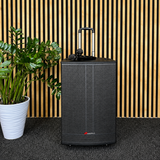 Audioport V15 altoparlante attivo portatile da 500 W con 2 microfoni