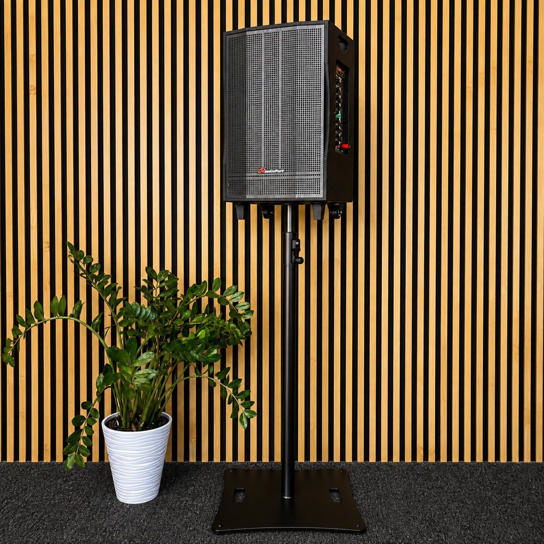 Audioport V15 altoparlante attivo portatile da 500 W con 2 microfoni
