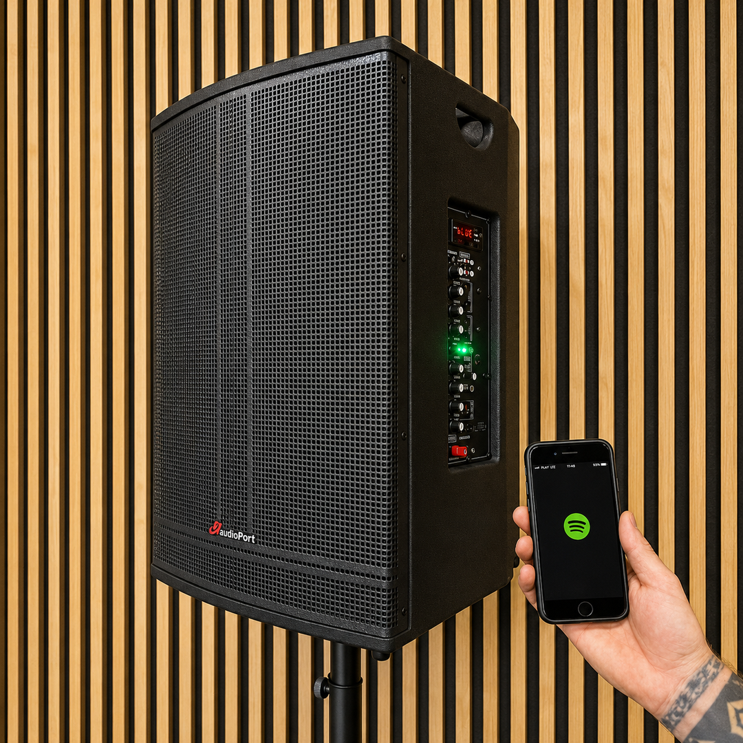 Audioport V15 altoparlante attivo portatile da 500 W con 2 microfoni