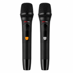 Audioport V15 altoparlante attivo portatile da 500 W con 2 microfoni