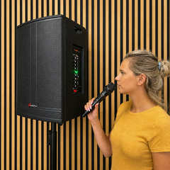 Audioport V15 altoparlante attivo portatile da 500 W con 2 microfoni