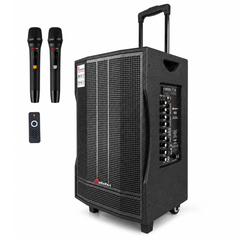 Audioport V12 cassa attiva portatile 350 W con 2 microfoni