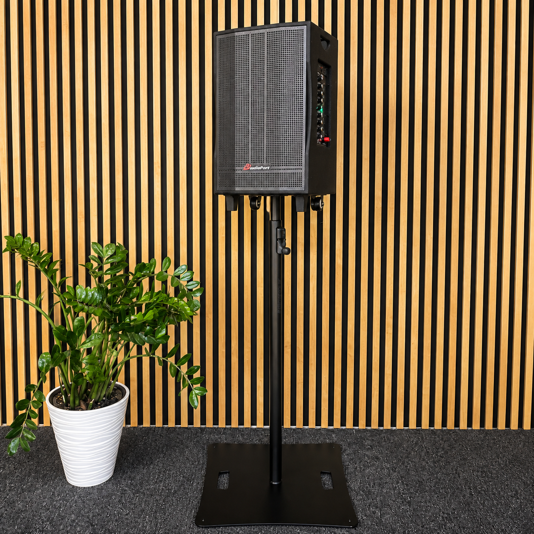 Audioport V12 cassa attiva portatile 350 W con 2 microfoni