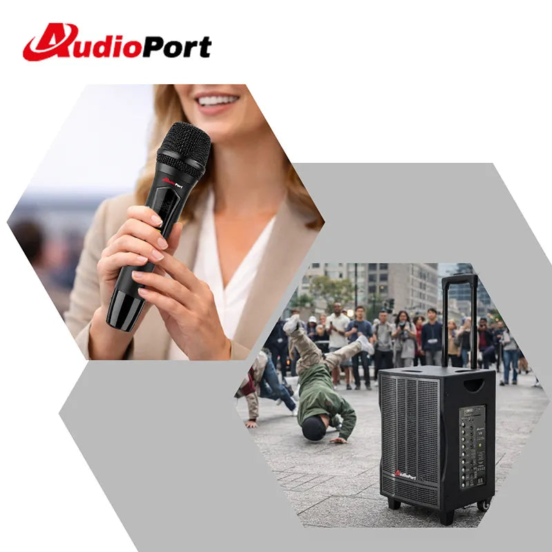 Audioport V8 cassa attiva portatile 250 W con 2 microfoni