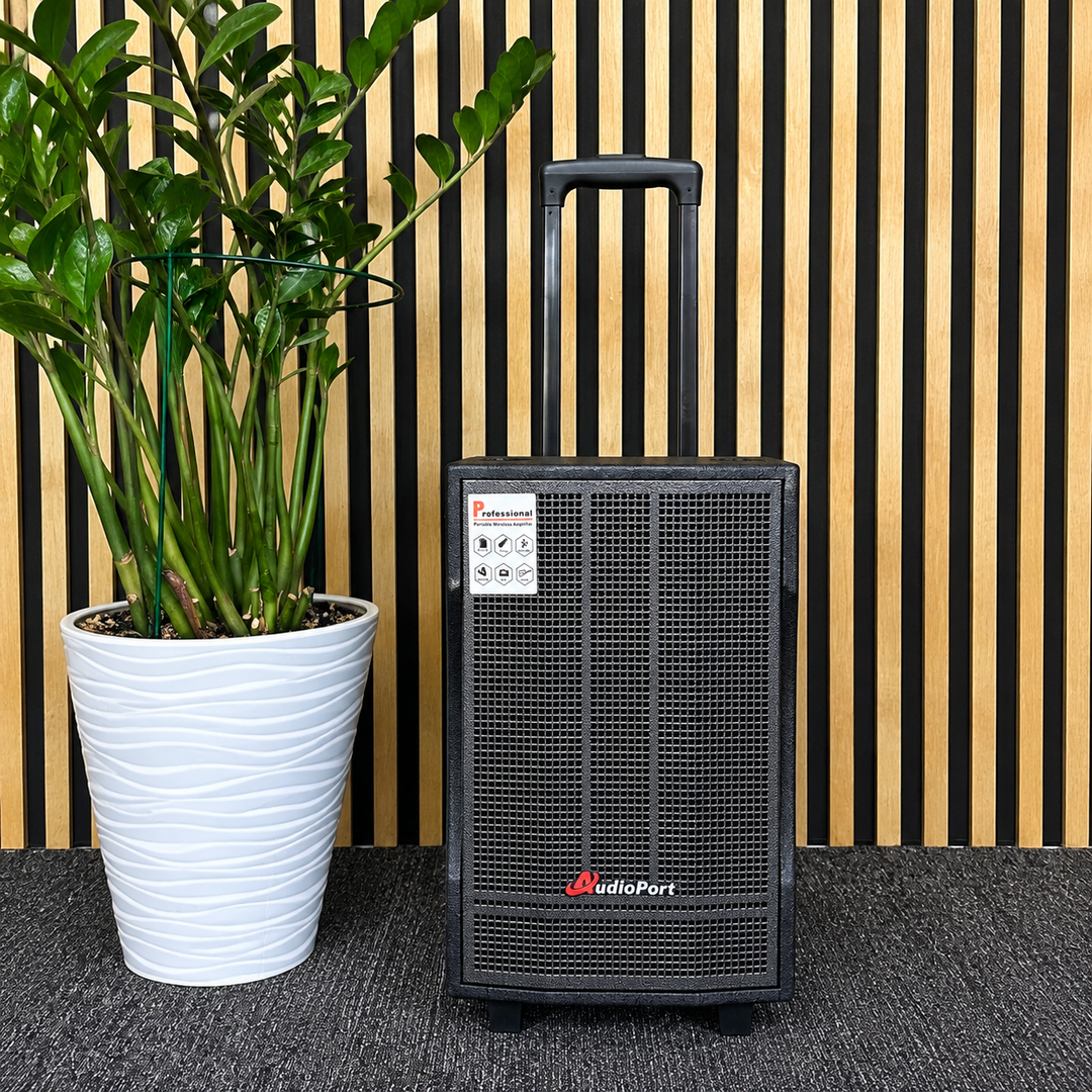 Audioport V8 cassa attiva portatile 250 W con 2 microfoni