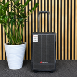 Audioport V8 cassa attiva portatile 250 W con 2 microfoni