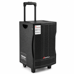 Audioport V8 cassa attiva portatile 250 W con 2 microfoni