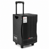 Audioport V8 cassa attiva portatile 250 W con 2 microfoni
