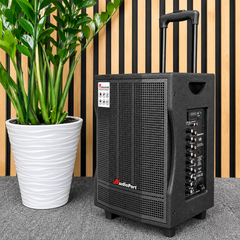 Audioport V8 cassa attiva portatile 250 W con 2 microfoni