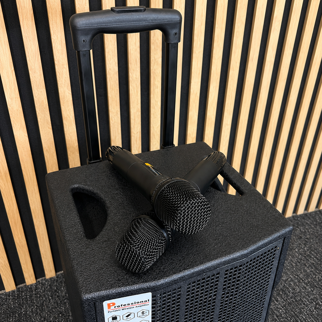Audioport V8 cassa attiva portatile 250 W con 2 microfoni
