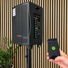 Audioport V8 cassa attiva portatile 250 W con 2 microfoni