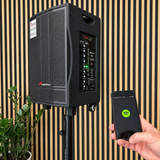 Audioport V8 cassa attiva portatile 250 W con 2 microfoni