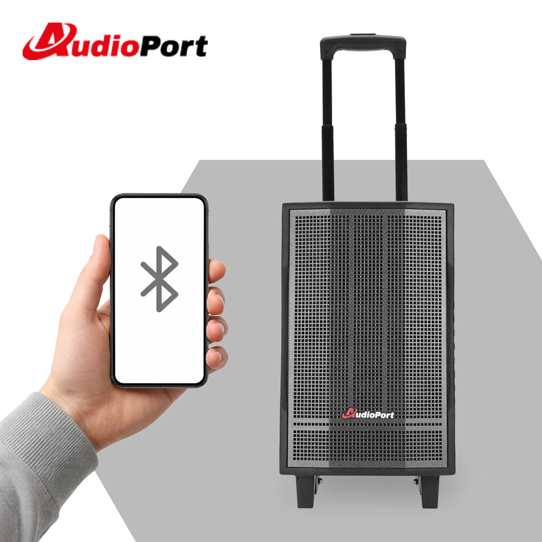 Audioport V8 cassa attiva portatile 250 W con 2 microfoni