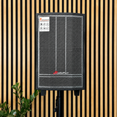 Audioport V8 cassa attiva portatile 250 W con 2 microfoni